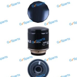 BYD Oil Filter 1049930500